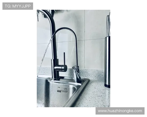 网球装备选购指南：护具推荐与使用技巧分享